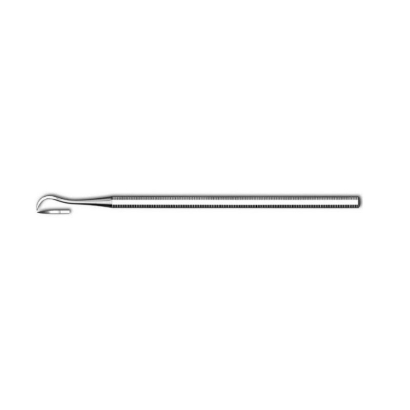 Scaler 6