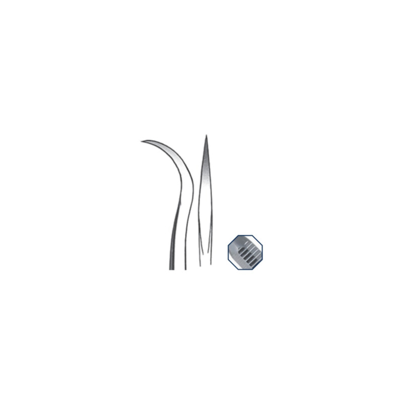 Scaler 6