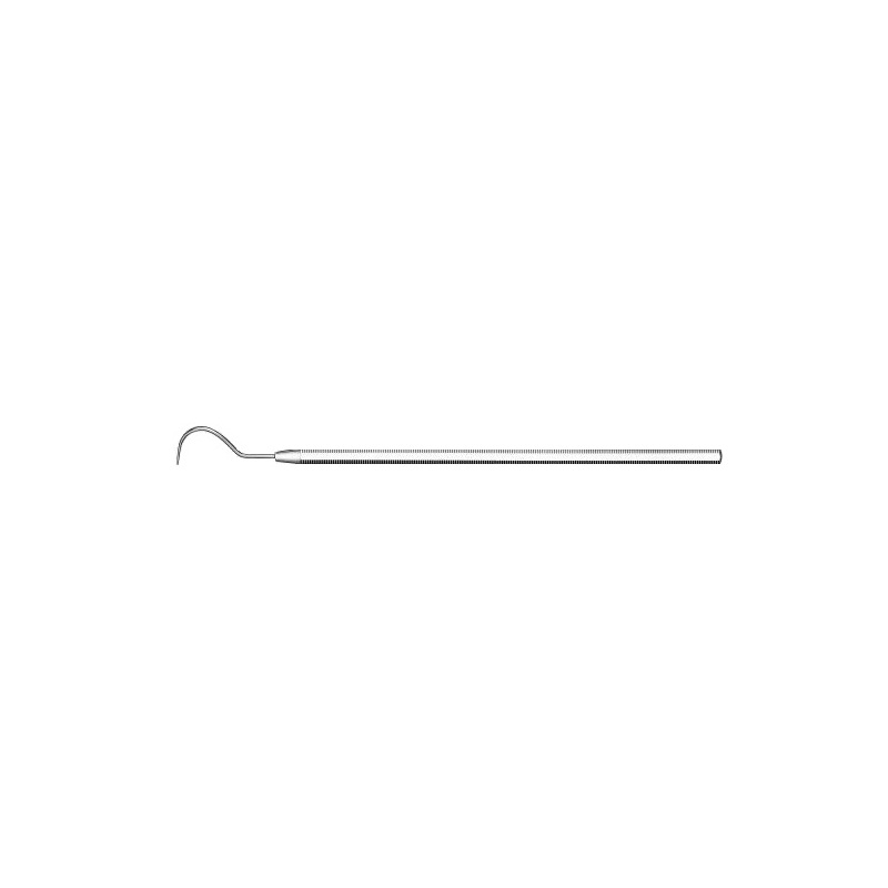 Sonda