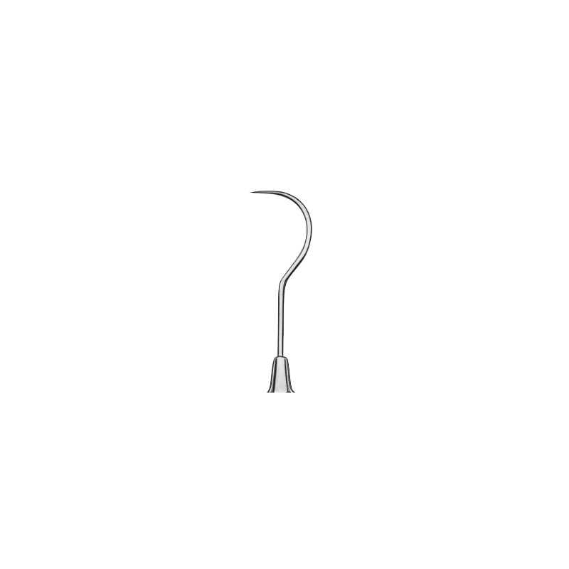 Sonda