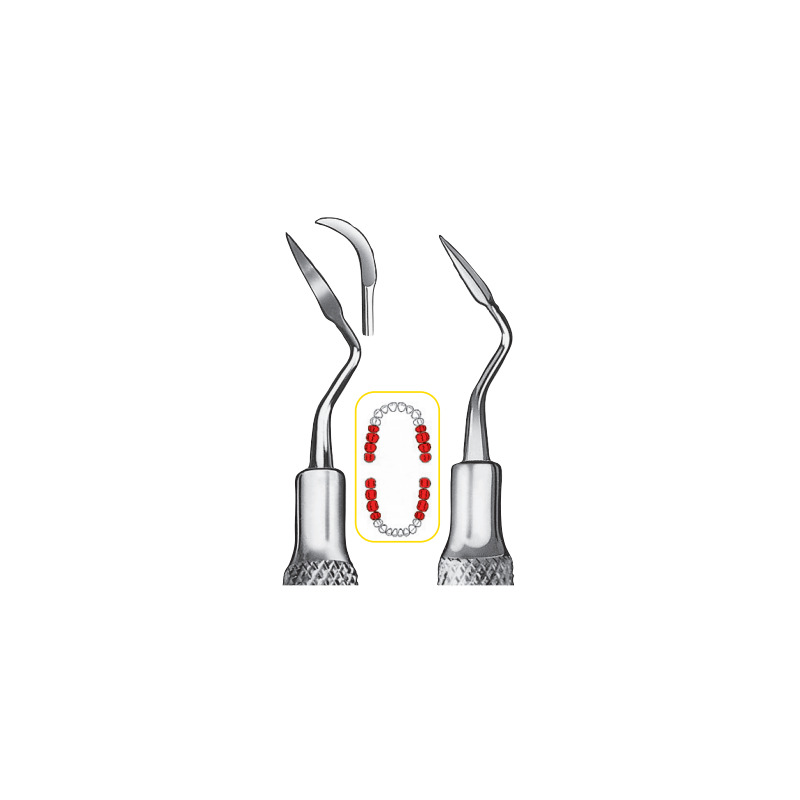 Scaler