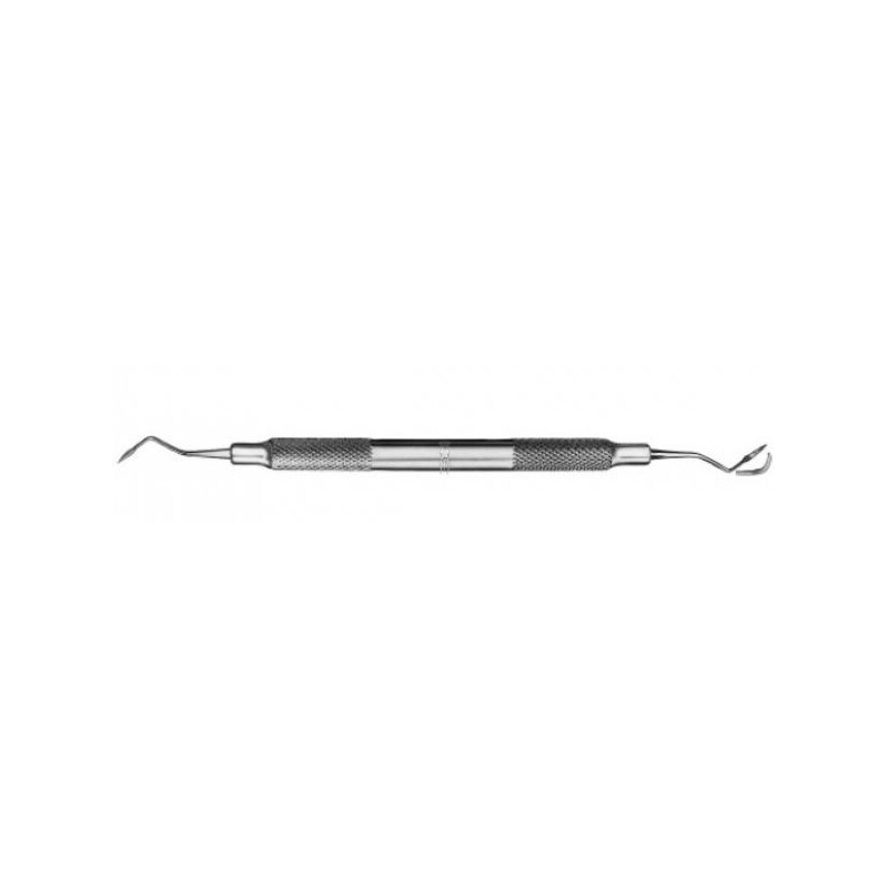 Scaler Taylor