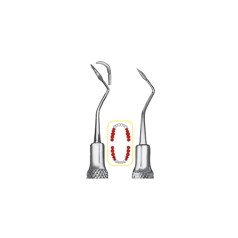 Scaler Taylor