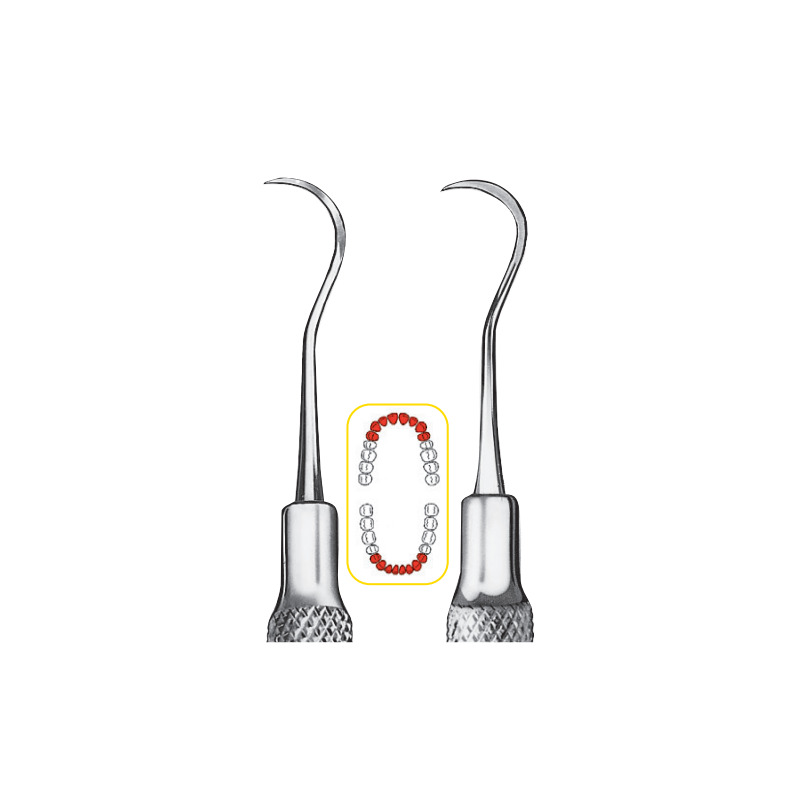 Scaler hygienist, LiquidSteel