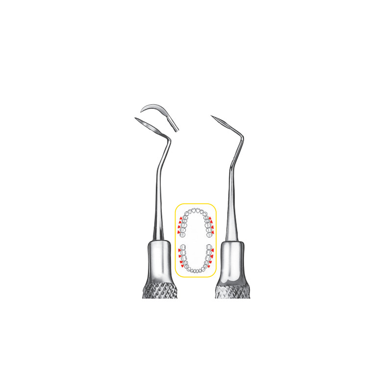 Scaler LS-Passion