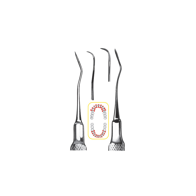 Scaler LS-Passion
