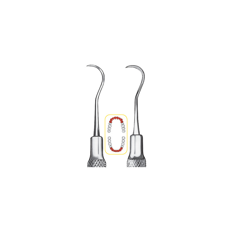 Scaler Universal LS-Passion