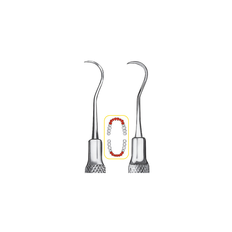 Scaler