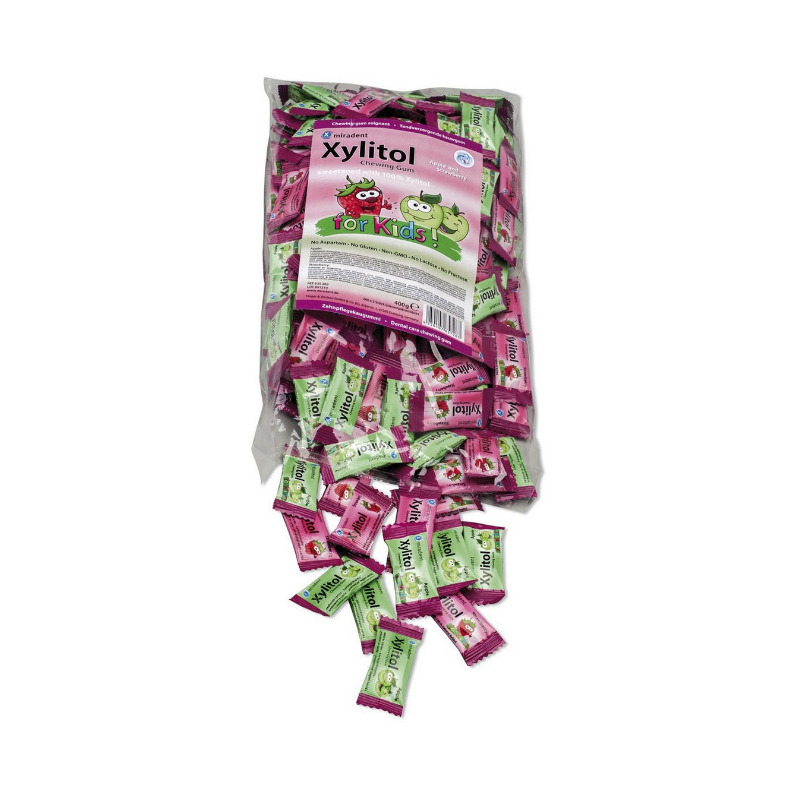 Xylitol dětská žvýkačka sortiment 200x 2 ks