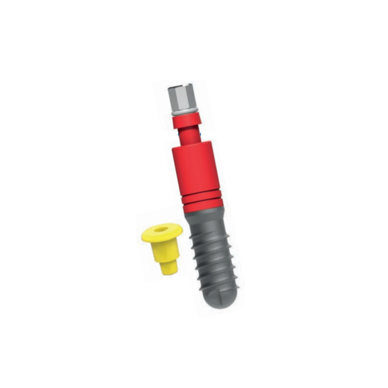 Implantát Leone Classix s krycím víčkem průměr 4,8 mm / délka 10 mm 1 ks