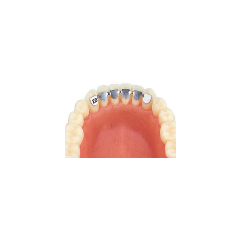 Retainer kit cuspid dolní 3-3 (20ks různé)