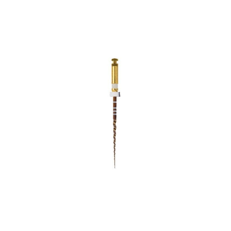 ProTaper Gold S2 31 mm sterilní 6 ks