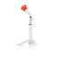 Radii Plus+ LED polymerační lampa