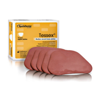 Tessex deska bazální horní 12ks