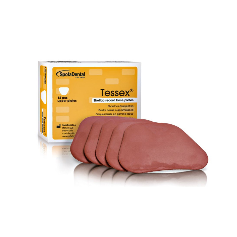 Tessex deska bazální horní 12ks