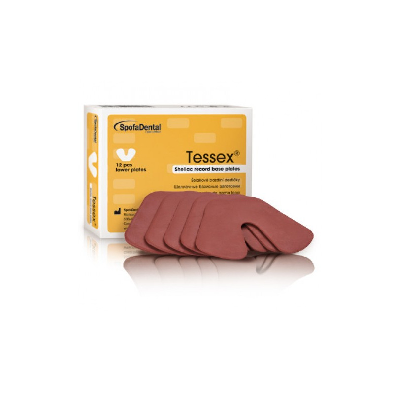 Tessex deska bazální dolní 12ks