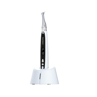Endomotor Woodpecker Endo Smart PLUS