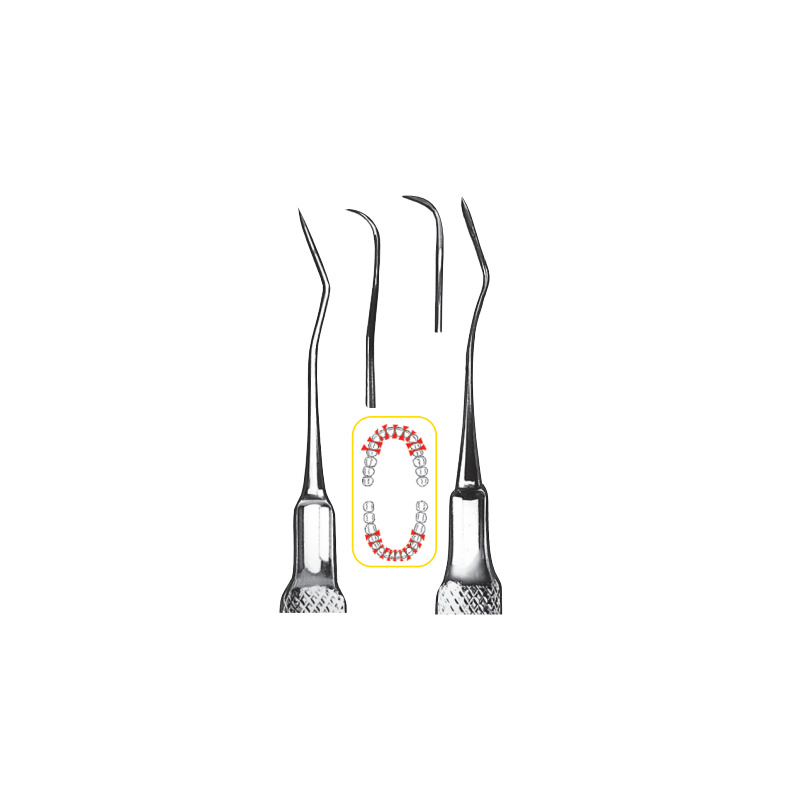 Scaler GE