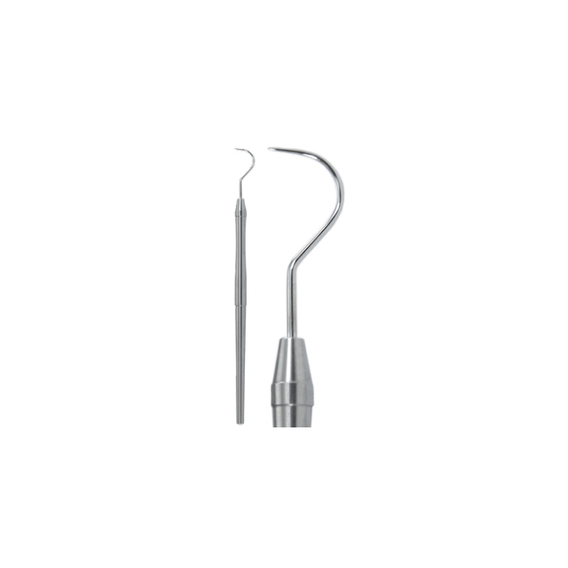 Sonda